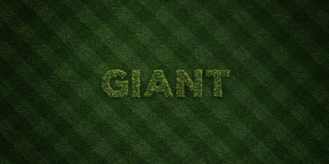 GIANT - fresh Grass letters with flowers and dandelions - 3D rendered royalty free stock image. Can be used for online banner ads and direct mailers..