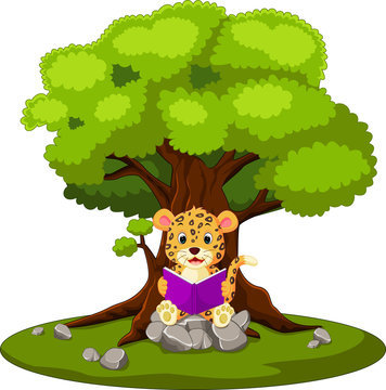 leopard reading book and sitting on the stone