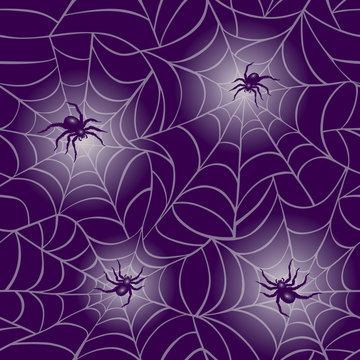 Purple Spider Web Pattern