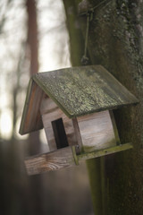 скворечник в лесу