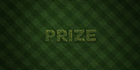 PRIZE - fresh Grass letters with flowers and dandelions - 3D rendered royalty free stock image. Can be used for online banner ads and direct mailers..