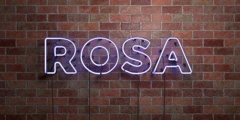 ROSA - fluorescent Neon tube Sign on brickwork - Front view - 3D rendered royalty free stock picture. Can be used for online banner ads and direct mailers..