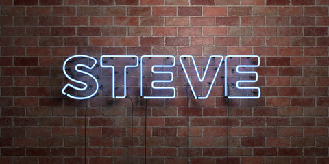 STEVE - fluorescent Neon tube Sign on brickwork - Front view - 3D rendered royalty free stock picture. Can be used for online banner ads and direct mailers..