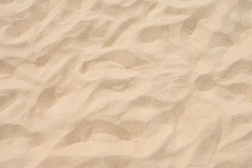 Fototapeta na wymiar Sand on the beach as background