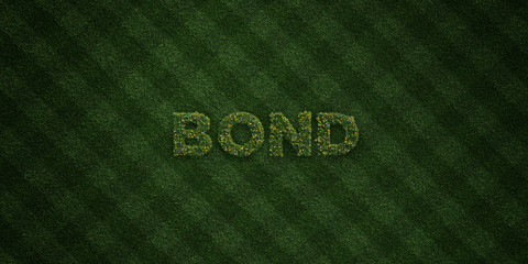BOND - fresh Grass letters with flowers and dandelions - 3D rendered royalty free stock image. Can be used for online banner ads and direct mailers..