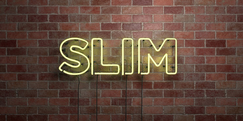 SLIM - fluorescent Neon tube Sign on brickwork - Front view - 3D rendered royalty free stock picture. Can be used for online banner ads and direct mailers..