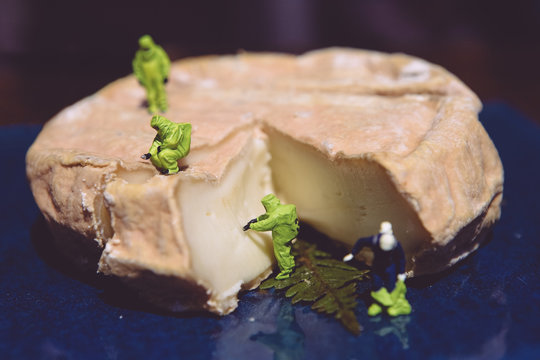 Exp&eacute;rience oflactive