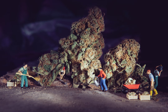 Green industry