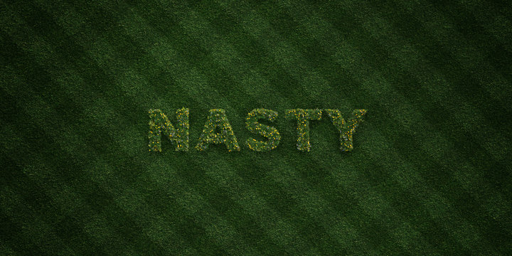 NASTY - fresh Grass letters with flowers and dandelions - 3D rendered royalty free stock image. Can be used for online banner ads and direct mailers..