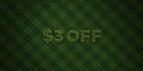 $3 OFF - fresh Grass letters with flowers and dandelions - 3D rendered royalty free stock image. Can be used for online banner ads and direct mailers..
