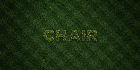 CHAIR - fresh Grass letters with flowers and dandelions - 3D rendered royalty free stock image. Can be used for online banner ads and direct mailers..