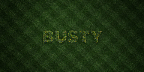 BUSTY - fresh Grass letters with flowers and dandelions - 3D rendered royalty free stock image. Can be used for online banner ads and direct mailers..