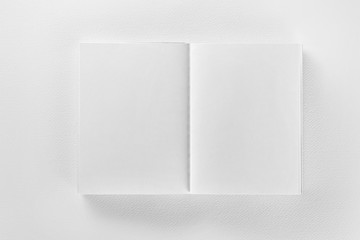 Mockup of opened blank book at white design paper background.