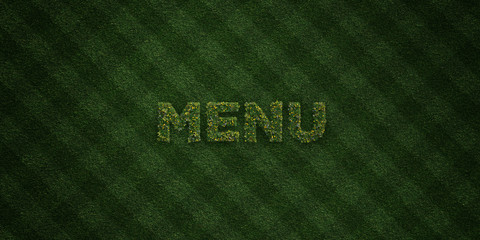 MENU - fresh Grass letters with flowers and dandelions - 3D rendered royalty free stock image. Can be used for online banner ads and direct mailers..