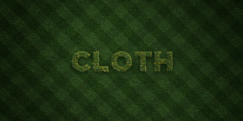 CLOTH - fresh Grass letters with flowers and dandelions - 3D rendered royalty free stock image. Can be used for online banner ads and direct mailers..