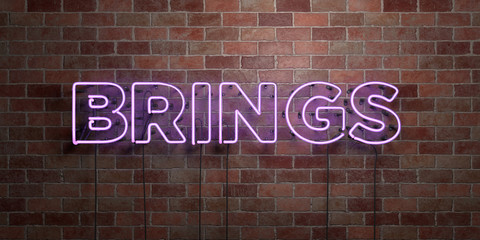 BRINGS - fluorescent Neon tube Sign on brickwork - Front view - 3D rendered royalty free stock picture. Can be used for online banner ads and direct mailers..