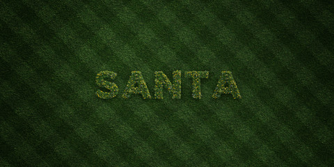 SANTA - fresh Grass letters with flowers and dandelions - 3D rendered royalty free stock image. Can be used for online banner ads and direct mailers..