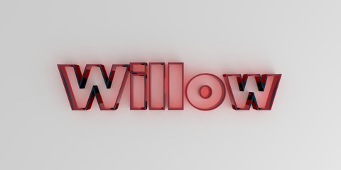 Willow - Red glass text on white background - 3D rendered royalty free stock image.