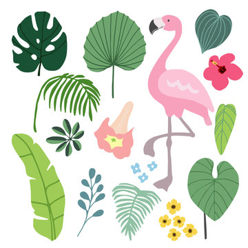 Summer tropical graphic elements with flamingo bird. Jungle floral illustrations, palm and monstera leaves and hibiscus flower, flat design. Isolated stock vectors.