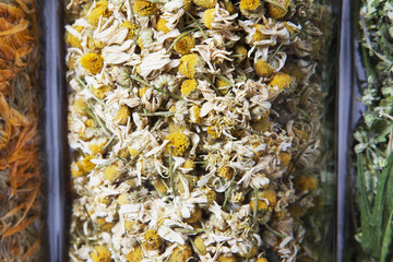 Dried chamomile herb inside a glass jar. Herbs and plants for tea.