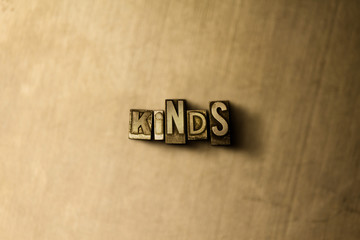 KINDS - close-up of grungy vintage typeset word on metal backdrop. Royalty free stock illustration.  Can be used for online banner ads and direct mail.