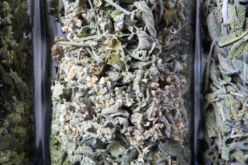 Dried lemon balm herb inside a glass jar. Herbs and plants for tea.