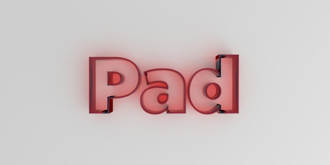 Pad - Red glass text on white background - 3D rendered royalty free stock image.