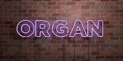 ORGAN - fluorescent Neon tube Sign on brickwork - Front view - 3D rendered royalty free stock picture. Can be used for online banner ads and direct mailers..