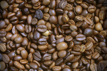 roasted arabica coffee beans