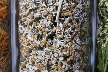 Dried wormwood herb inside a glass jar. Herbs and plants for tea.