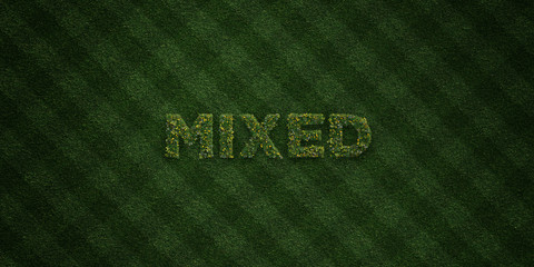 MIXED - fresh Grass letters with flowers and dandelions - 3D rendered royalty free stock image. Can be used for online banner ads and direct mailers..