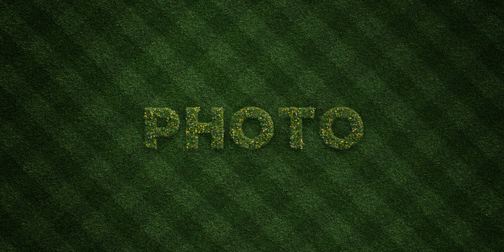 PHOTO - fresh Grass letters with flowers and dandelions - 3D rendered royalty free stock image. Can be used for online banner ads and direct mailers..