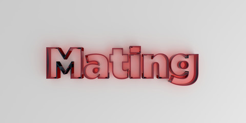 Mating - Red glass text on white background - 3D rendered royalty free stock image.