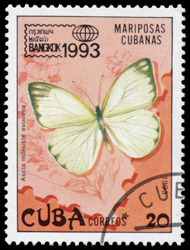 Stamp printed in CUBA shows image of butterfly Ascia monuste evonima