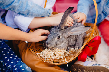 Naklejka premium children pat the Easter Bunny