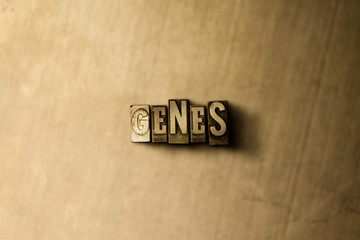 GENES - close-up of grungy vintage typeset word on metal backdrop. Royalty free stock illustration.  Can be used for online banner ads and direct mail.