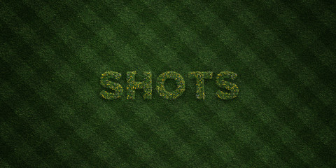 SHOTS - fresh Grass letters with flowers and dandelions - 3D rendered royalty free stock image. Can be used for online banner ads and direct mailers..