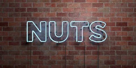 NUTS - fluorescent Neon tube Sign on brickwork - Front view - 3D rendered royalty free stock picture. Can be used for online banner ads and direct mailers..