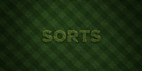 SORTS - fresh Grass letters with flowers and dandelions - 3D rendered royalty free stock image. Can be used for online banner ads and direct mailers..