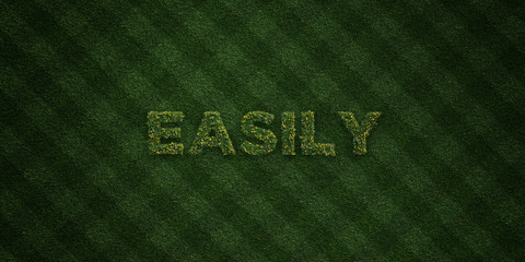EASILY - fresh Grass letters with flowers and dandelions - 3D rendered royalty free stock image. Can be used for online banner ads and direct mailers..