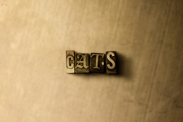 CATS - close-up of grungy vintage typeset word on metal backdrop. Royalty free stock illustration.  Can be used for online banner ads and direct mail.