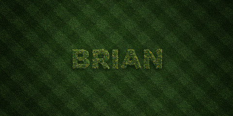 BRIAN - fresh Grass letters with flowers and dandelions - 3D rendered royalty free stock image. Can be used for online banner ads and direct mailers..