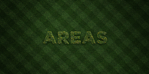 AREAS - fresh Grass letters with flowers and dandelions - 3D rendered royalty free stock image. Can be used for online banner ads and direct mailers..