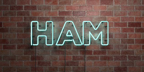 HAM - fluorescent Neon tube Sign on brickwork - Front view - 3D rendered royalty free stock picture. Can be used for online banner ads and direct mailers..