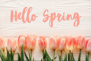 Naklejka premium Witaj wiosna tekst znak, piękne różowe tulipany na białym tle rustykalnym drewniane płaskie świeckich. kwiaty w miękkim słońcu rano z miejscem na tekst. koncepcja kartkę z życzeniami