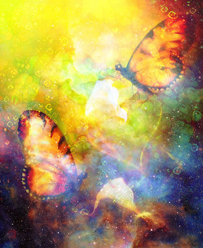 flying butterfly with cala flower in cosmic space. Painting and graphic design.