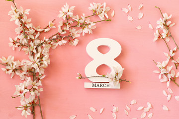 International women day concept. Cherry tree and date