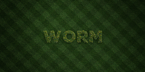 WORM - fresh Grass letters with flowers and dandelions - 3D rendered royalty free stock image. Can be used for online banner ads and direct mailers..