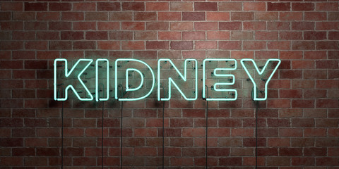 KIDNEY - fluorescent Neon tube Sign on brickwork - Front view - 3D rendered royalty free stock picture. Can be used for online banner ads and direct mailers..