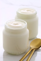 vintage  french style yogurt